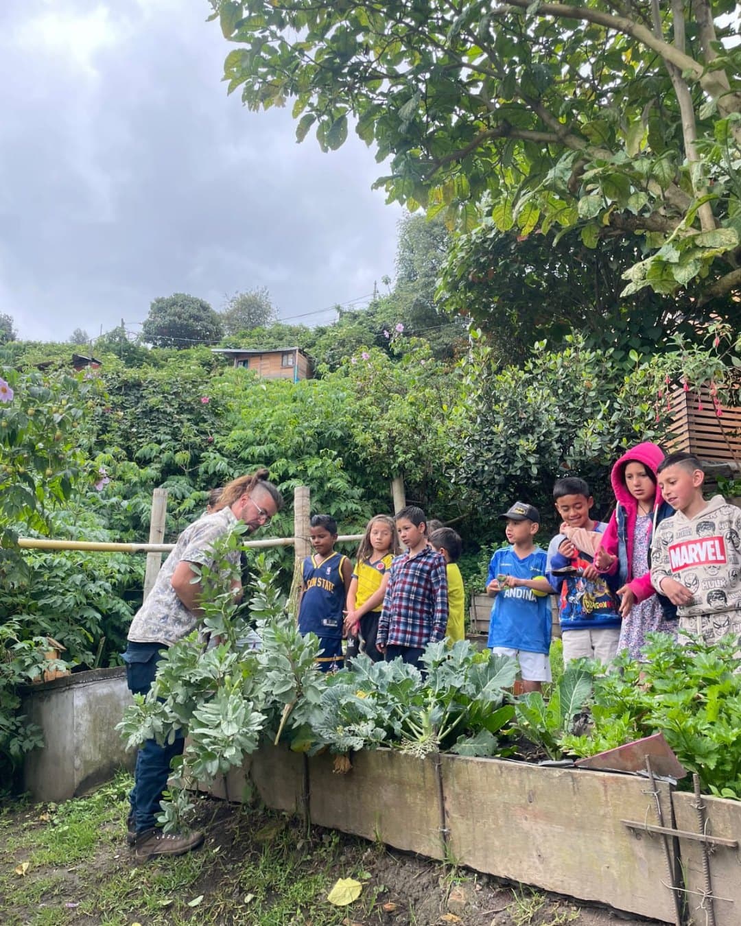 Fundación Buena Semilla — agricultura urbana Casa Bogotá