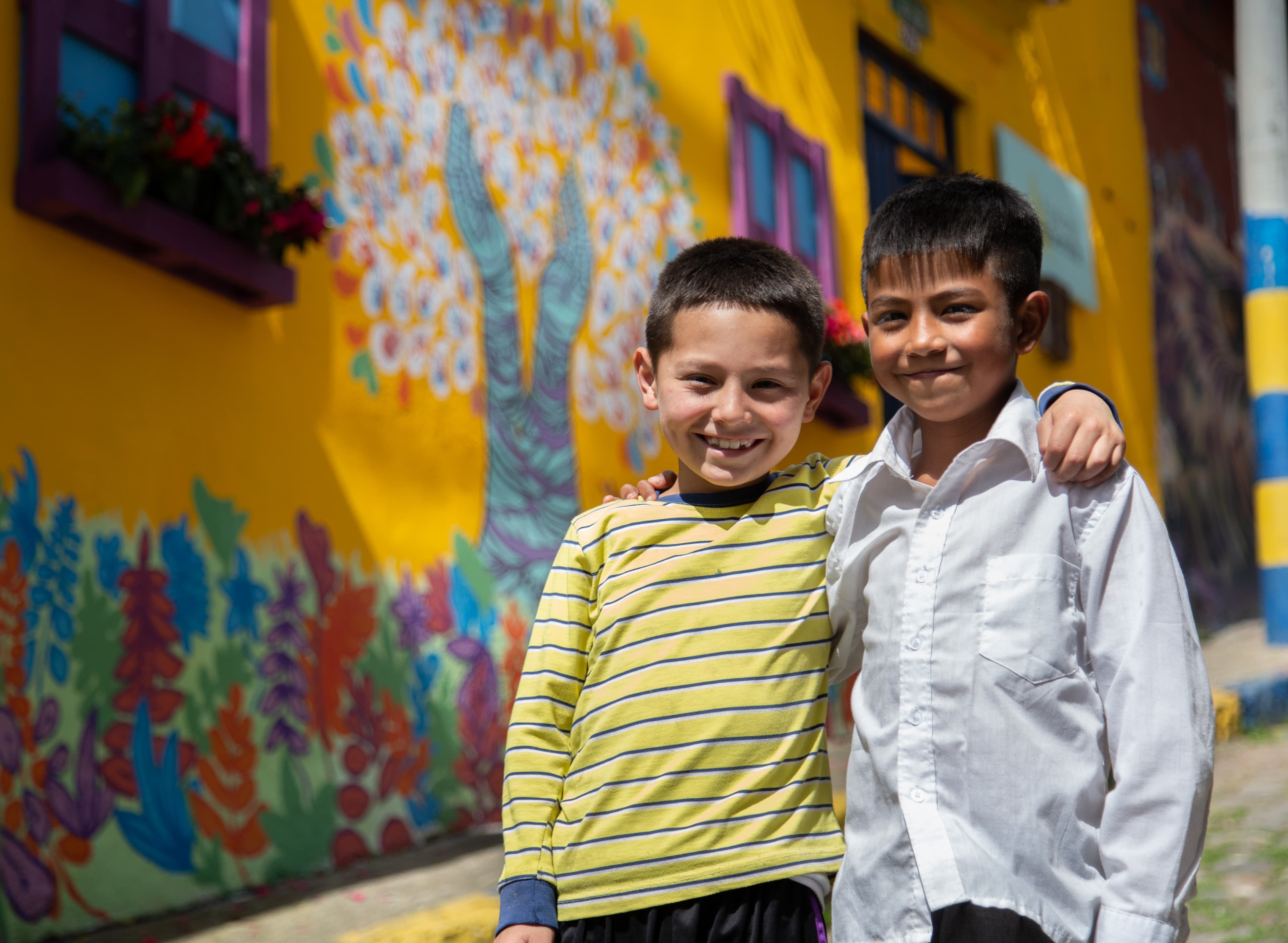Fundación Buena Semilla hoy — dos Casas y siete programas